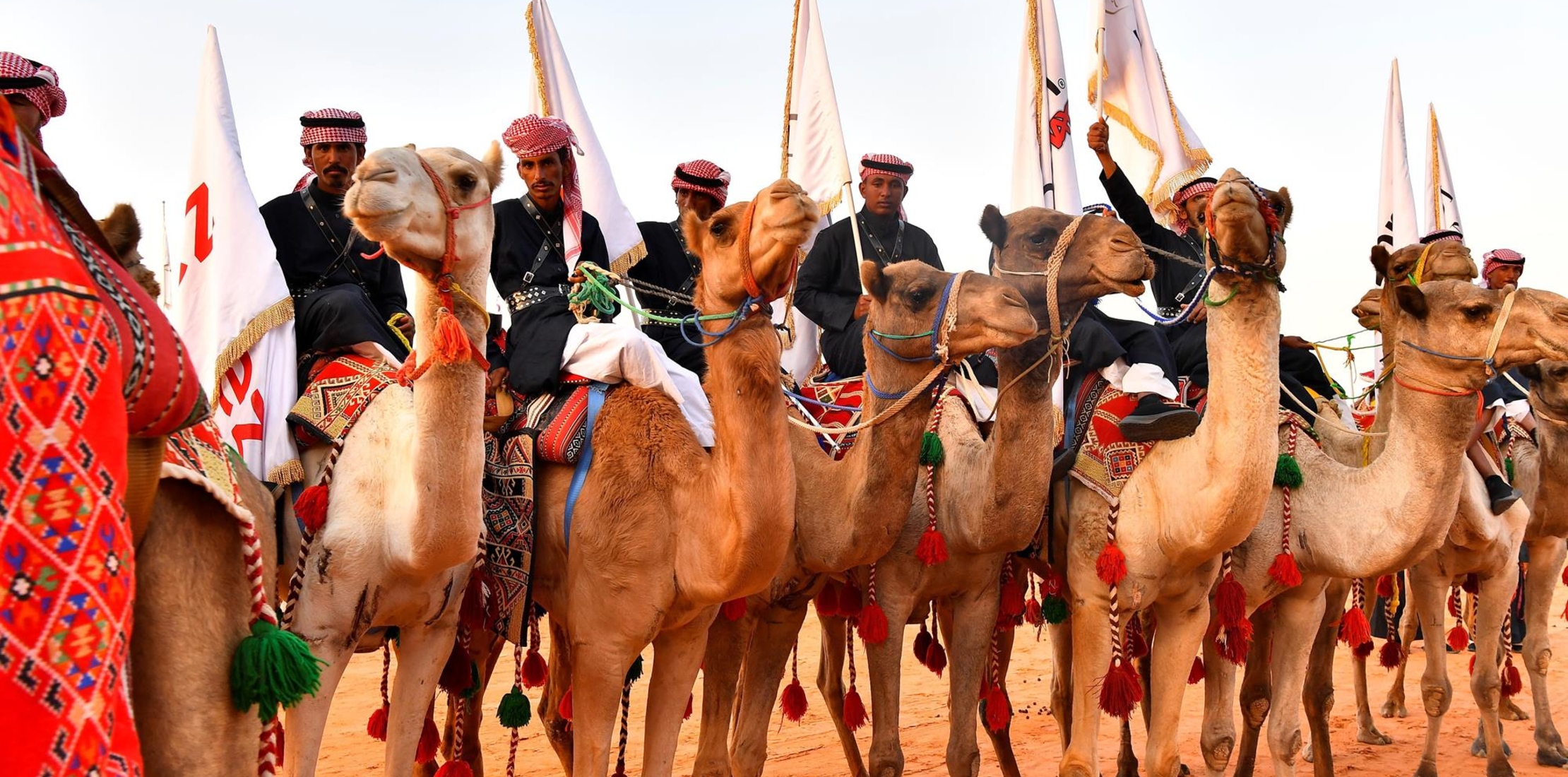 استكشاف تراث مطروح الثقافي من خلال أهم المهرجانات التي يجب حضورها - مهرجان سباق الجمال في مطروح: تاريخه وأهميته